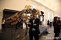VBS_1094 - Riapre il Museo di Scienze Naturali dopo dieci anni di chiusura